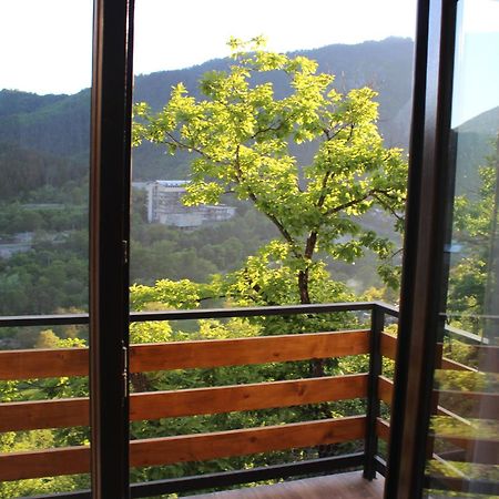 Guest House On Meskheti 보르조미 외부 사진