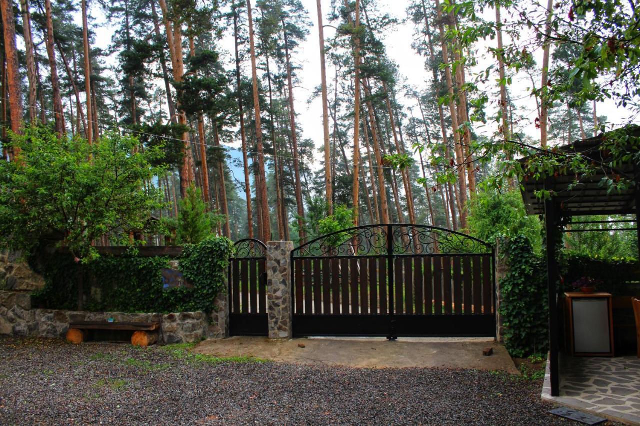 Guest House On Meskheti 보르조미 외부 사진