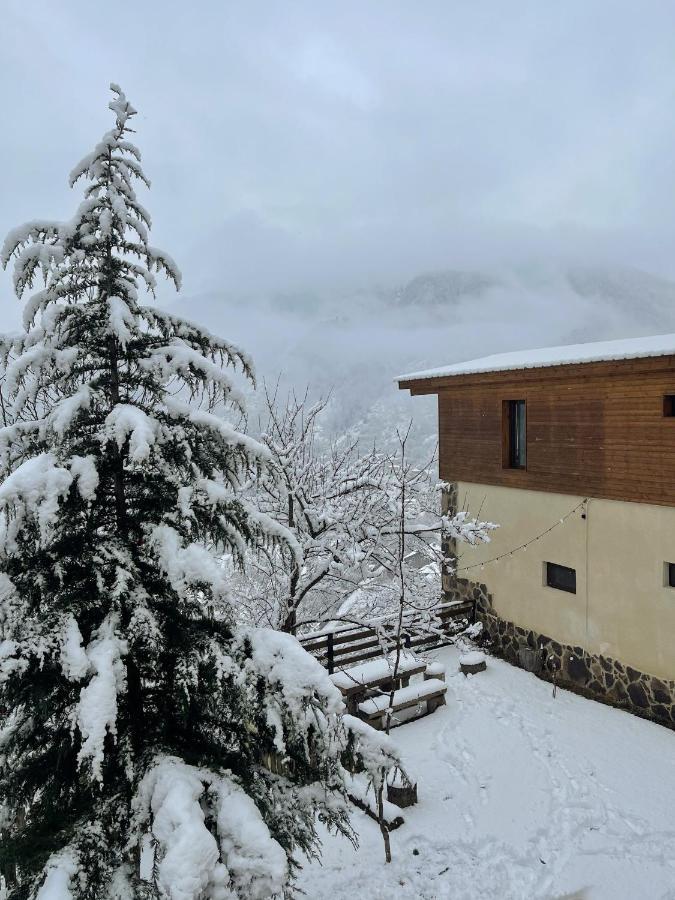 Guest House On Meskheti 보르조미 외부 사진