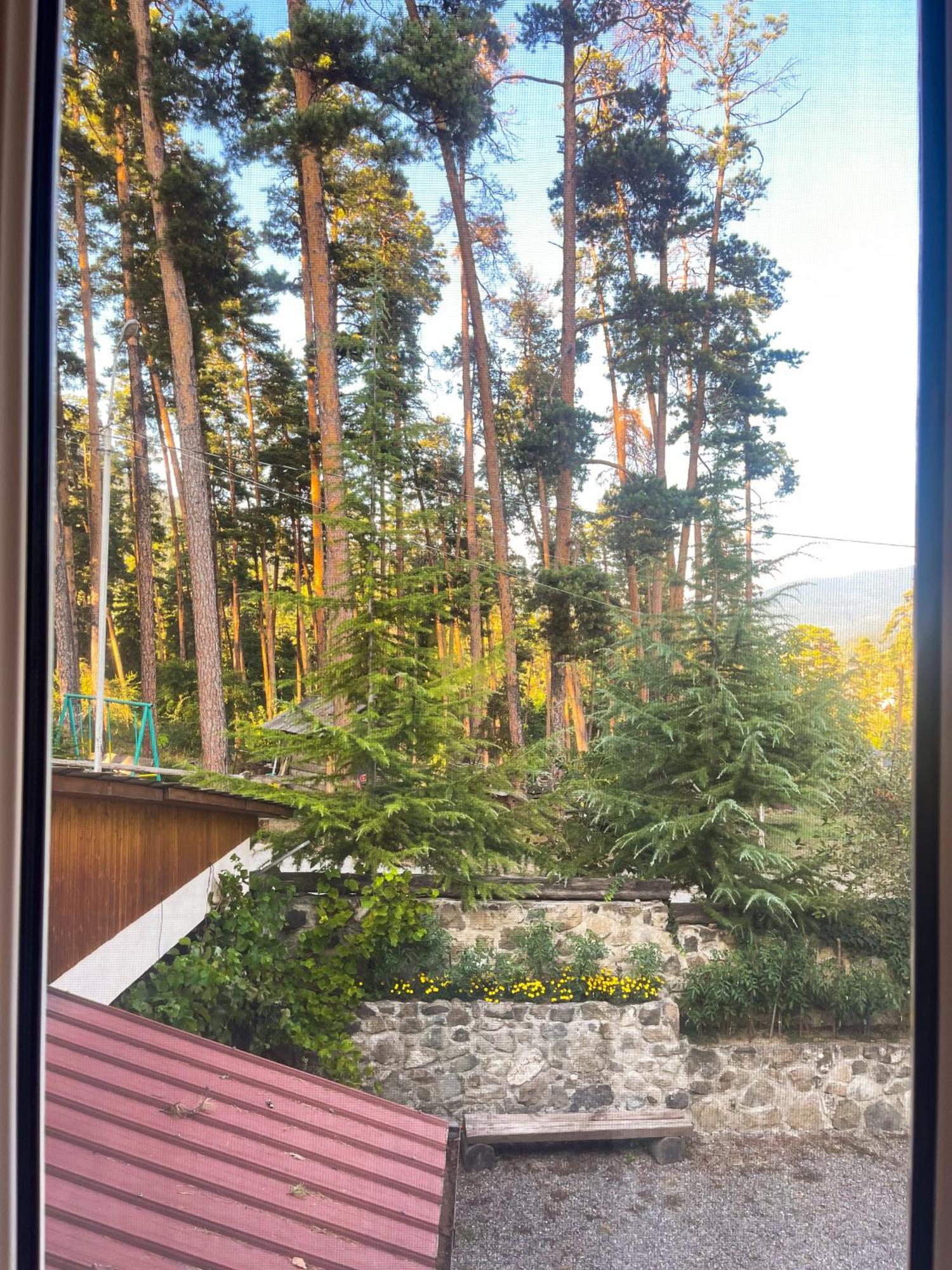 Guest House On Meskheti 보르조미 객실 사진
