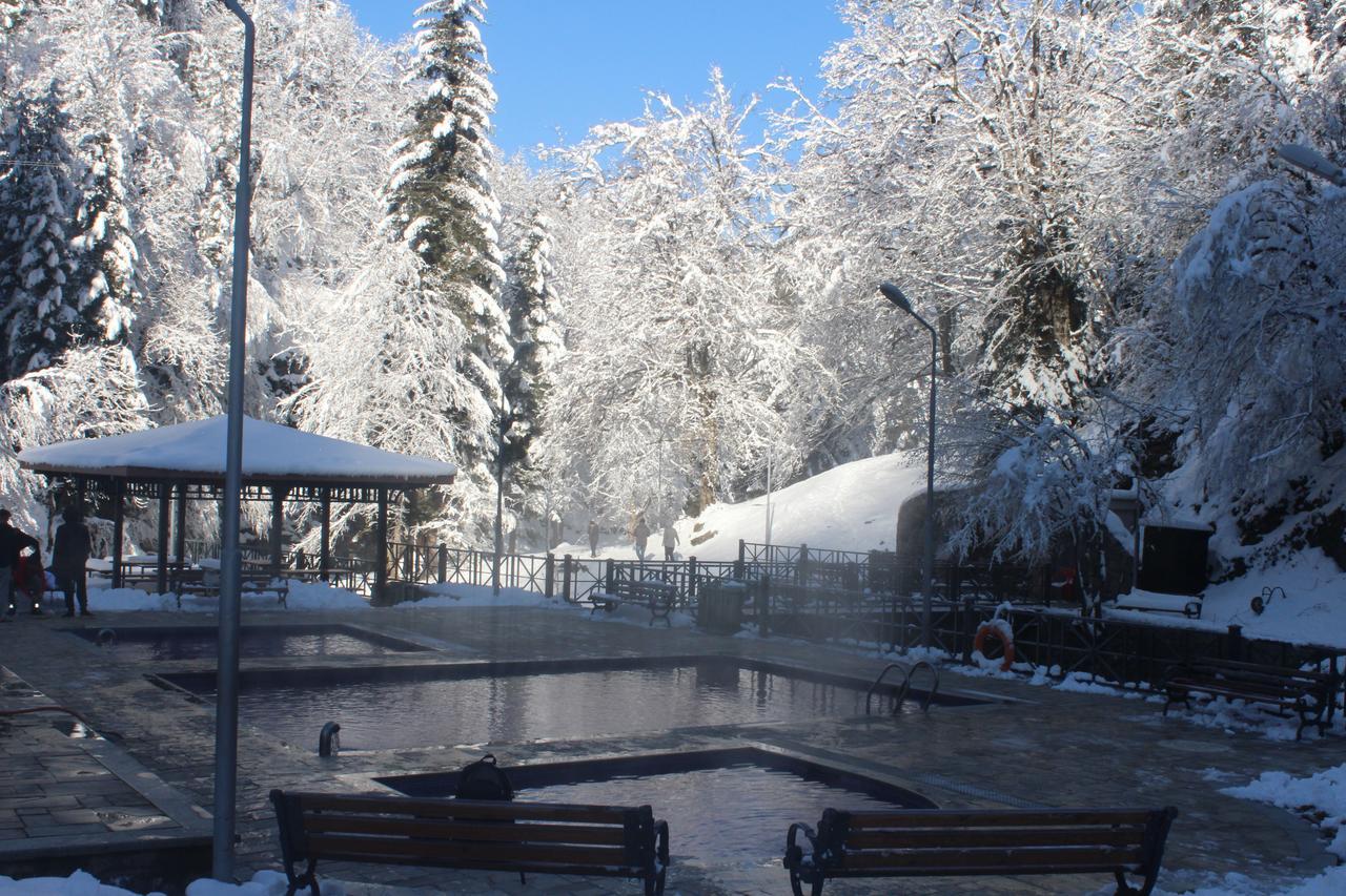 Guest House On Meskheti 보르조미 외부 사진