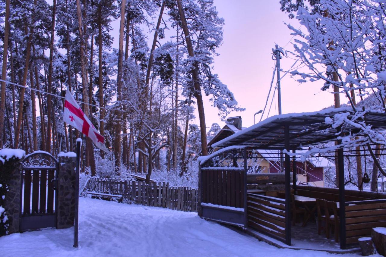 Guest House On Meskheti 보르조미 외부 사진